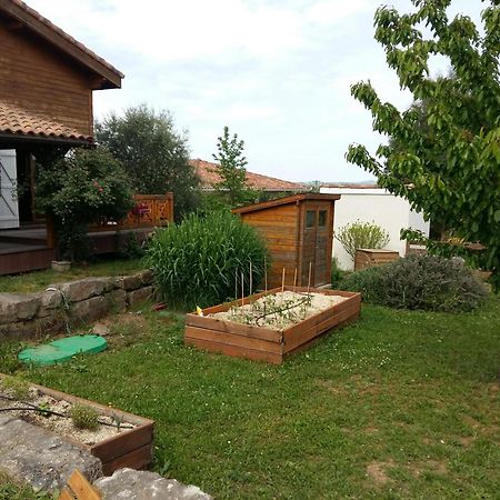 Ecolodge Bellevue Albi Exterior foto