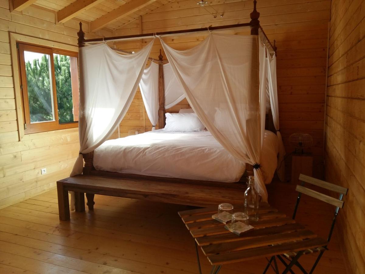 Ecolodge Bellevue Albi Exterior foto